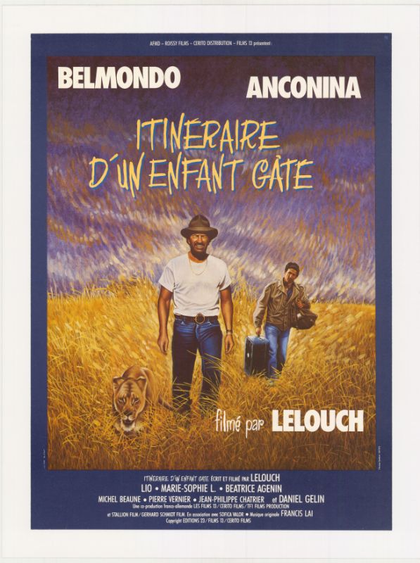 Affiche - ITINERAIRE D'UN ENFANT GATE - 40x55cm