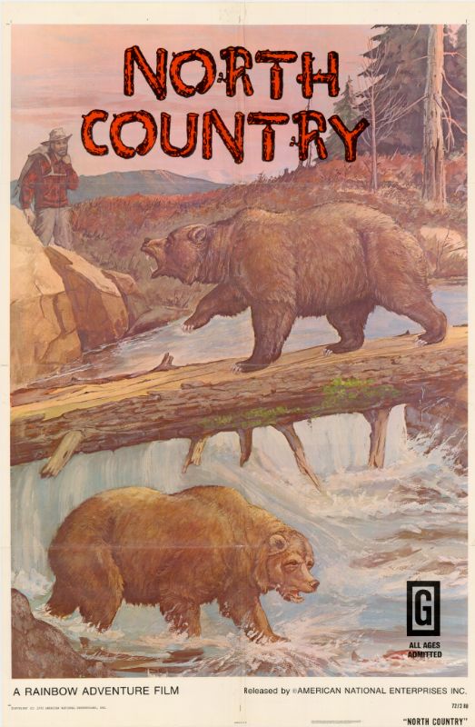 Affiche - NORTH COUNTRY - 70x105cm