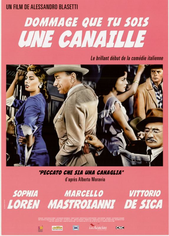Affiche - DOMMAGE QUE TU SOIS UNE CANAILLE - Ressortie 40x60cm
