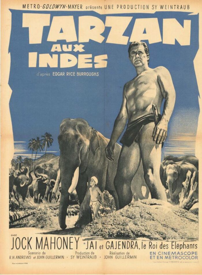 Affiche - TARZAN AUX INDES - 60x80cm