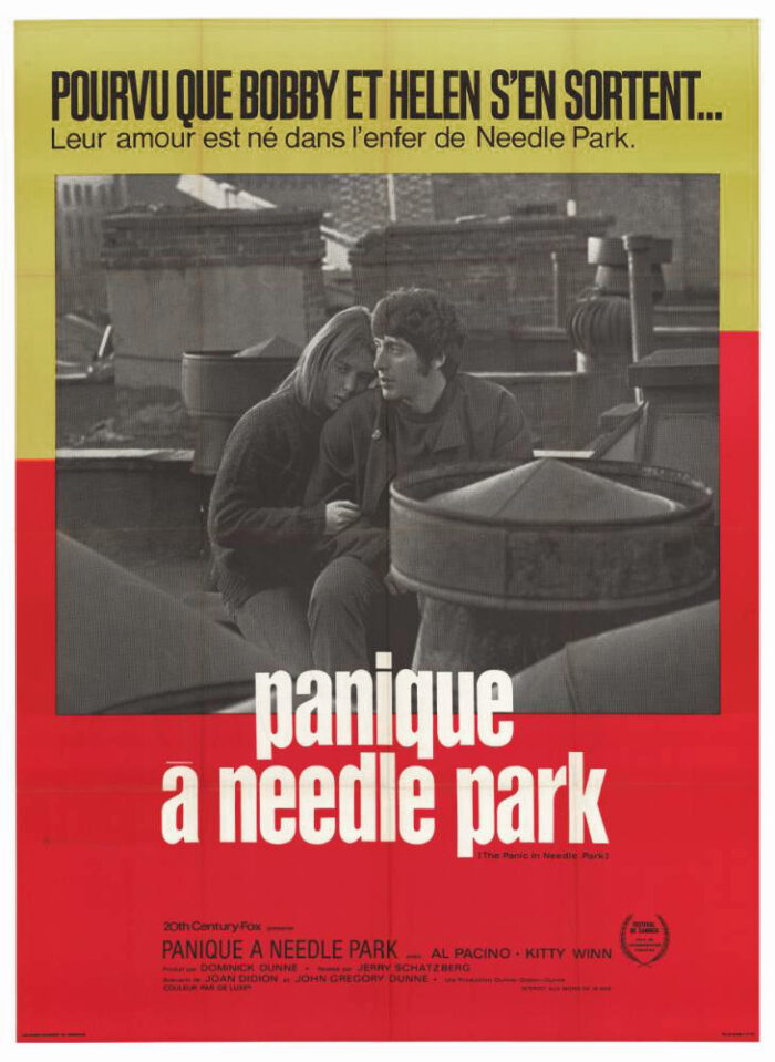 Affiche - PANIQUE A NEEDLE PARK - 120x160cm