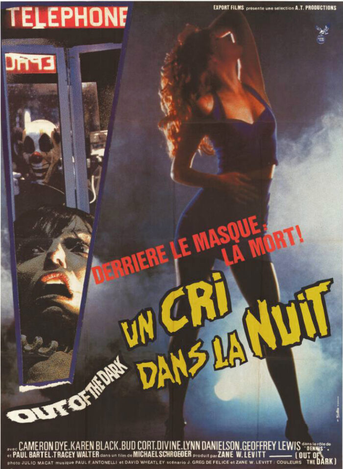 Affiche - UN CRI DANS LA NUIT - 120x160cm