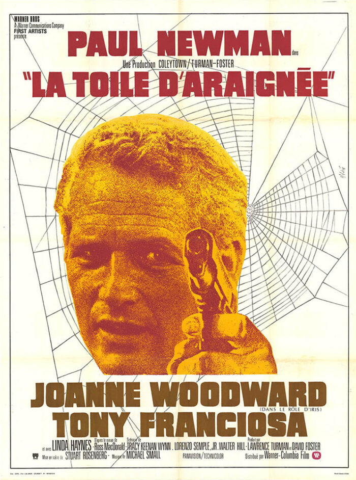 Affiche - TOILE D'ARAIGNEE (la) - 120x160cm