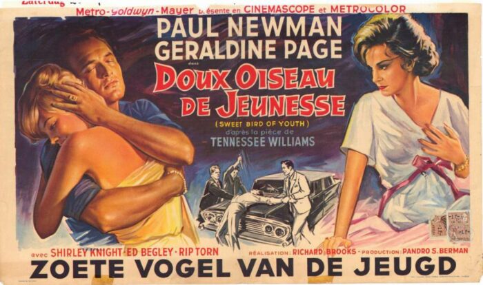 Affiche - DOUX OISEAU DE JEUNESSE - 36x56cm