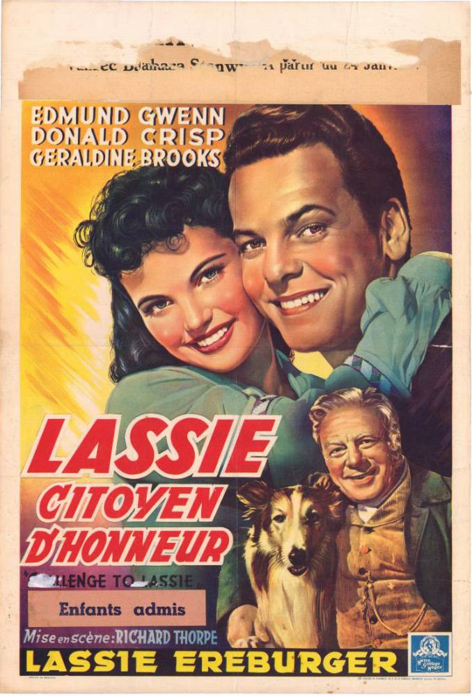 Affiche - LASSIE CITOYEN d'HONNEUR - 36x56cm