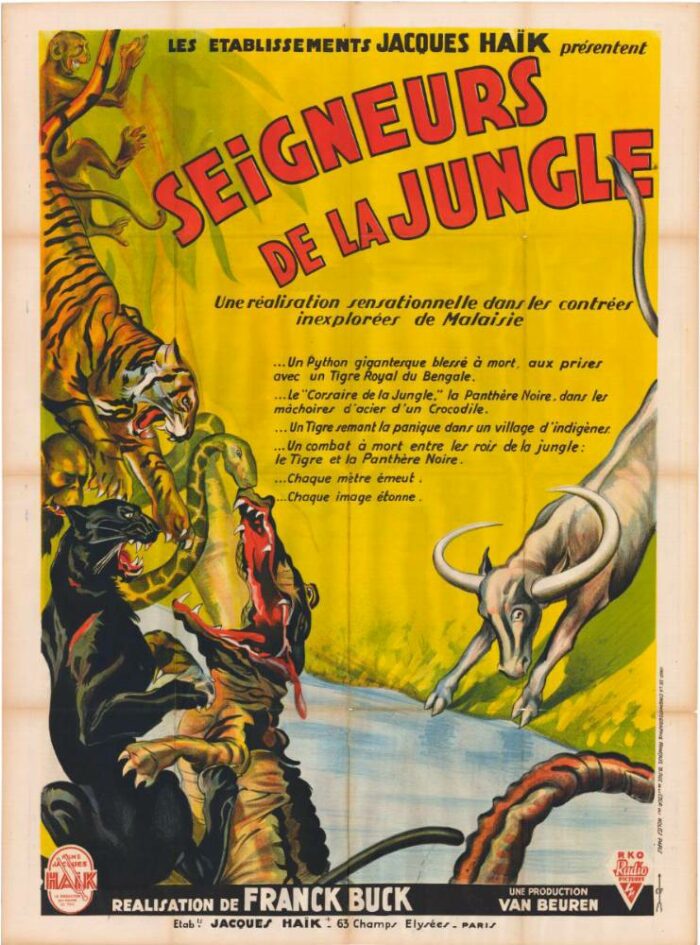 Affiche - SEIGNEURS DE LA JUNGLE - 120x160cm