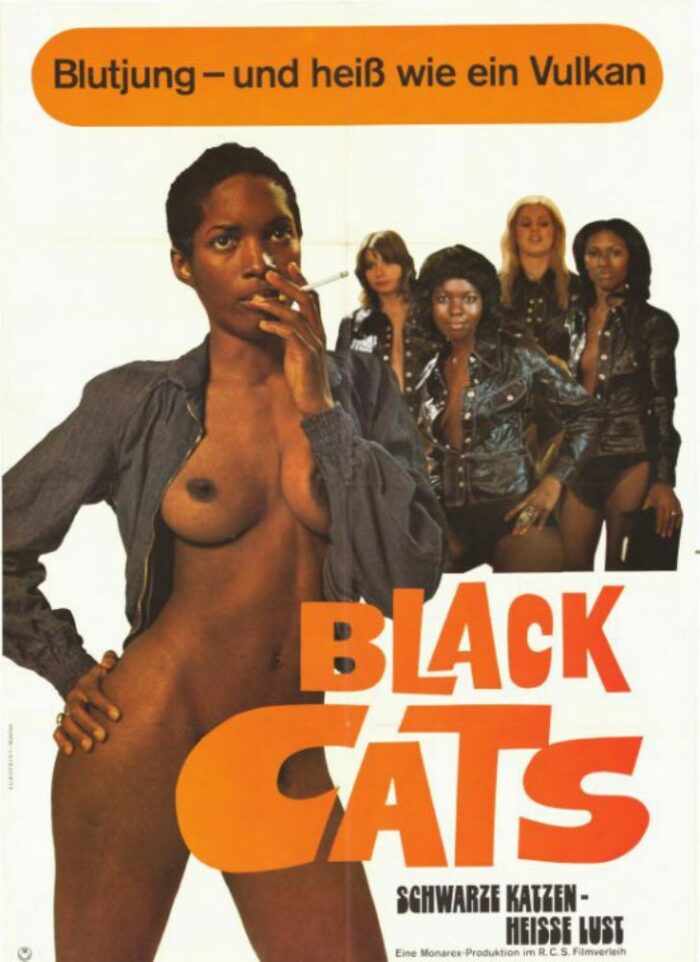 Affiche - BLACK CATS - 60x80cm - GER