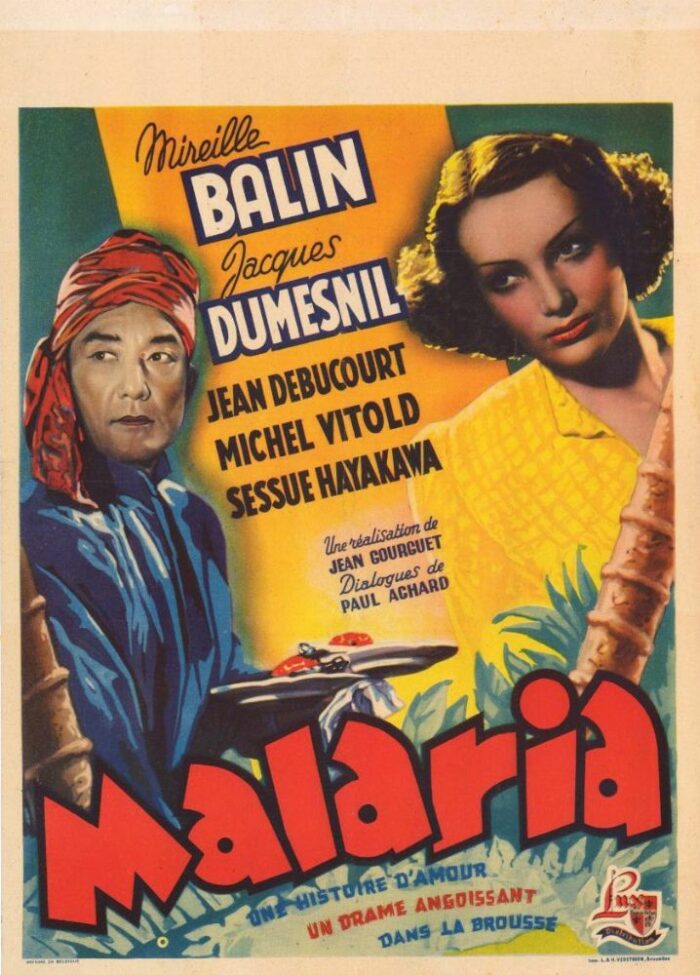 Affiche - MALARIA - 30x40cm