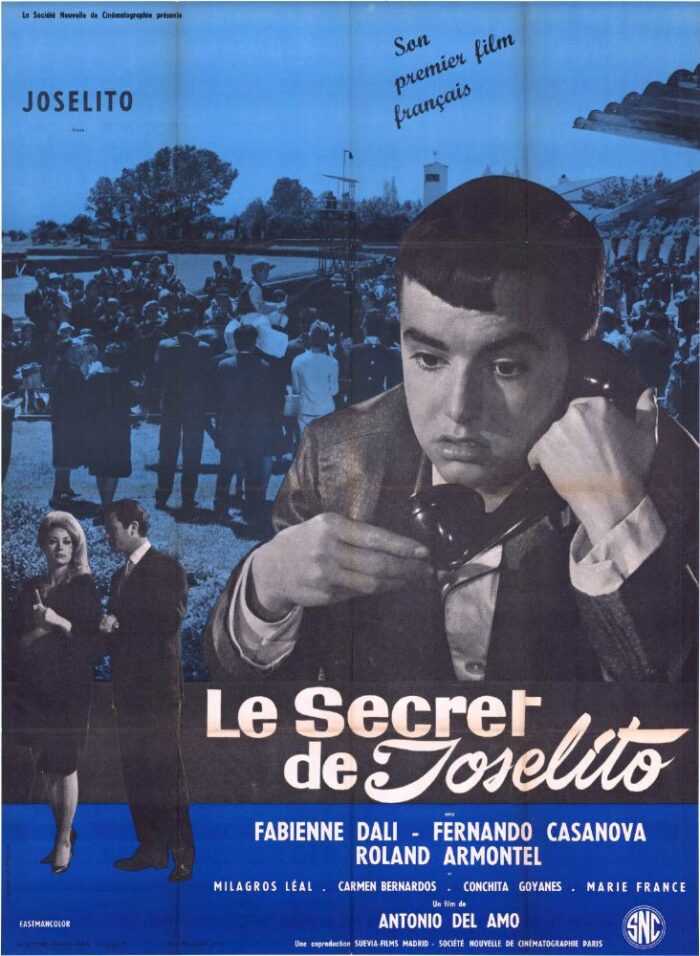 Affiche - SECRET DE JOSELITO (le) - 120x160cm