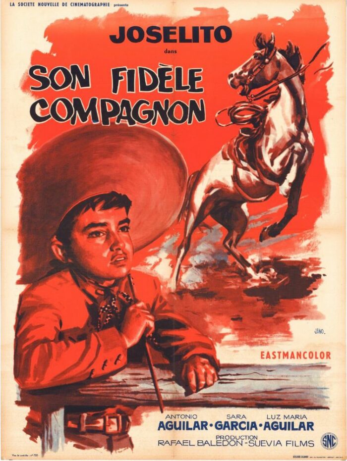 Affiche - SON FIDELE COMPAGNON - 60x80cm