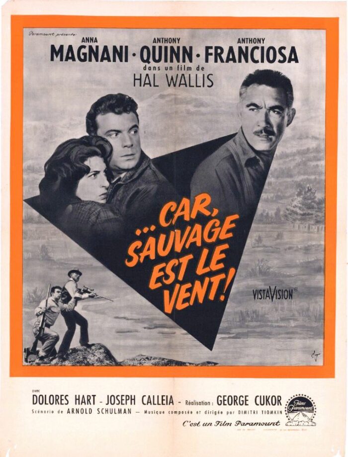 Affiche - CAR SAUVAGE EST LE VENT - 60x80cm