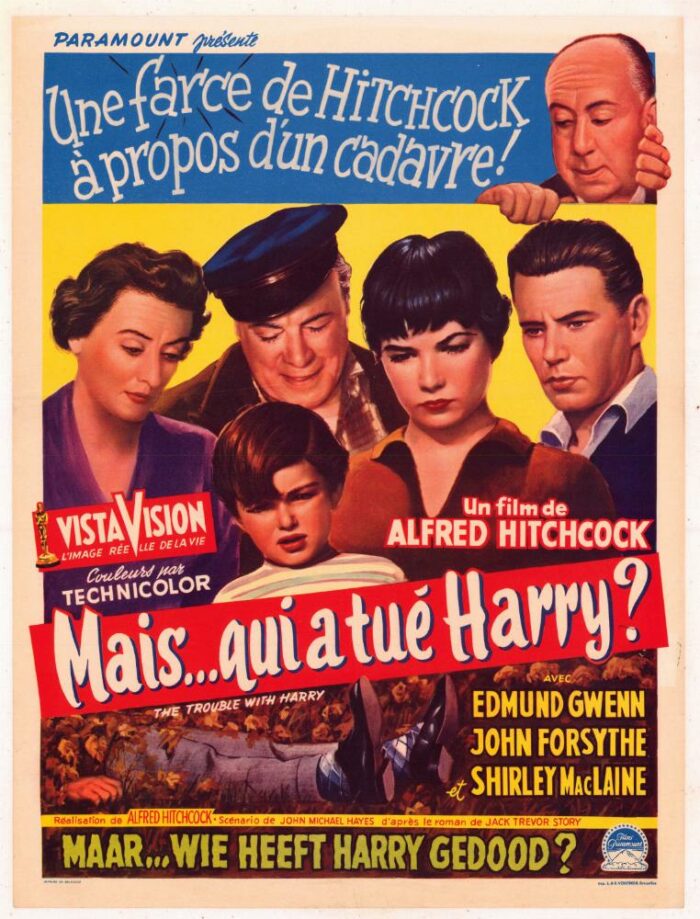Affiche - MAIS QUI A TUE HARRY ? - 36x56cm