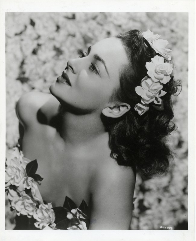 Photo - Olivia de HAVILLAND - 20x25cm