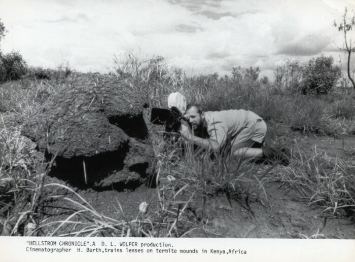 Photo - DES INSECTES ET DES HOMMES - 18x24cm