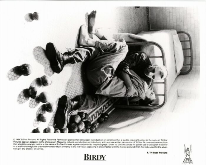 Photo - BIRDY - 20x25cm