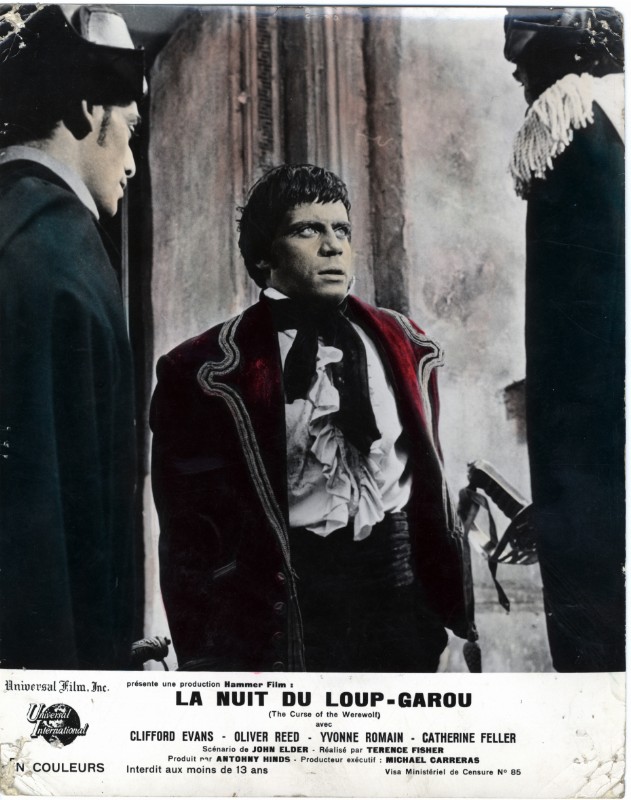 Photo - NUIT DU LOUP-GAROU (la) - 24x30cm