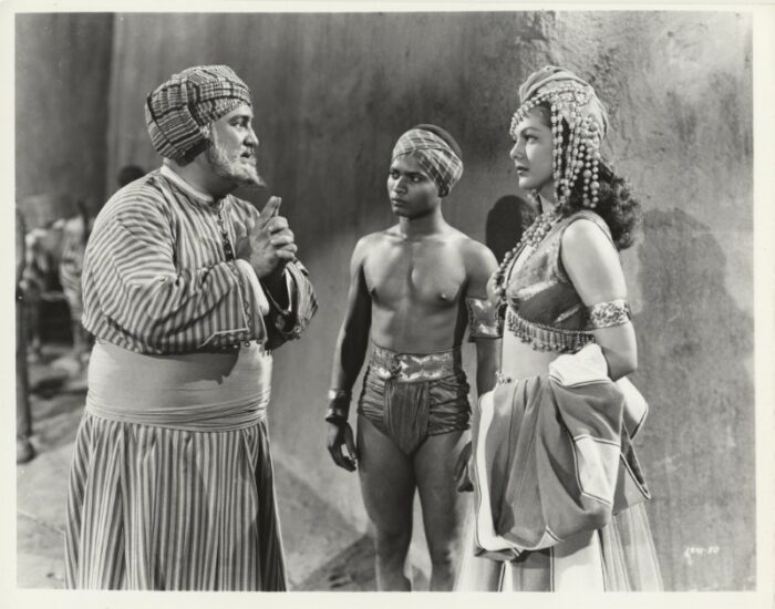 Photo - ALERTE AUX INDES - 20x25cm