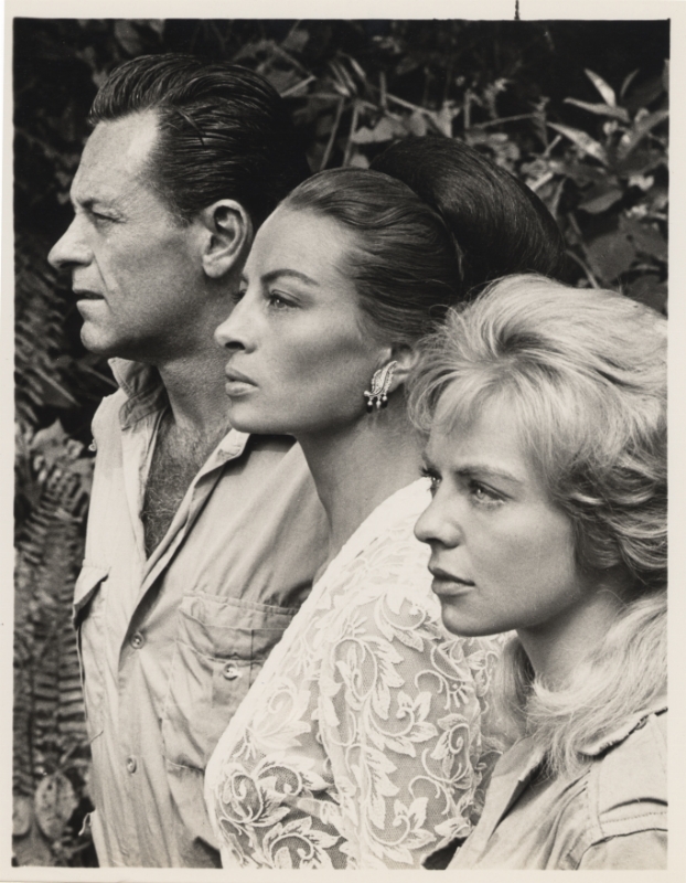 Photo - William HOLDEN - 18x24cm