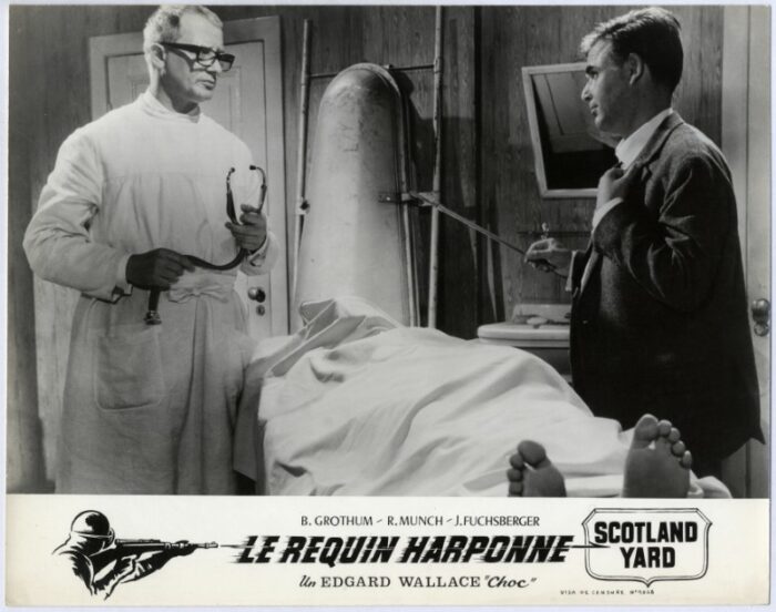 Photo - REQUIN HARPONNE SCOTLAND YARD (le) - 24x30cm