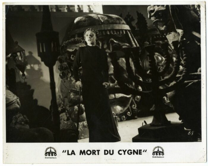 Photo - MORT DU CYGNE (la) - 24x30cm