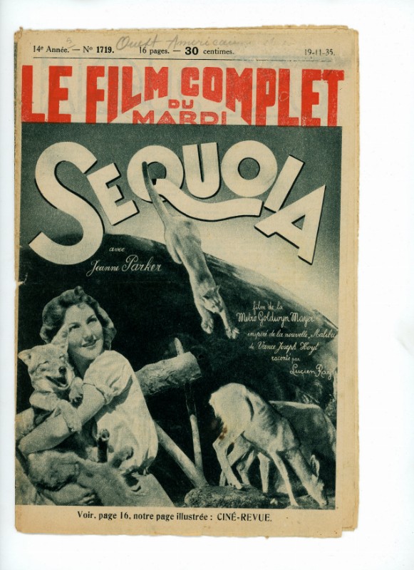 Magazine - SEQUOIA - 18x24cm