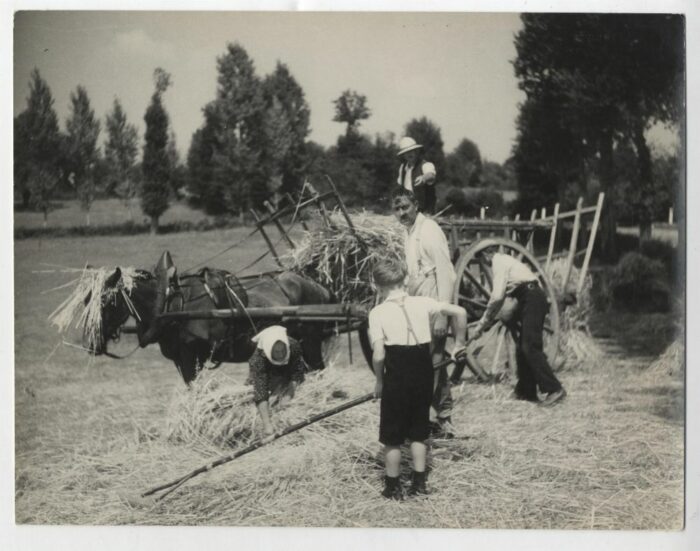 Photo - JOUR DE FETE - 24x30cm