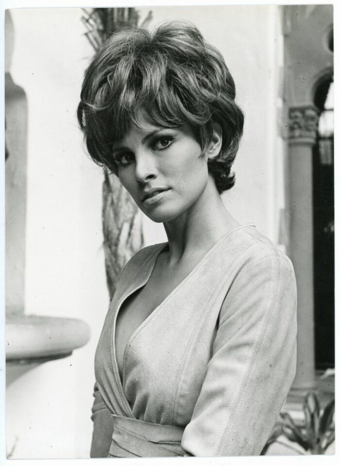 Photo - Raquel WELCH - 20x25cm